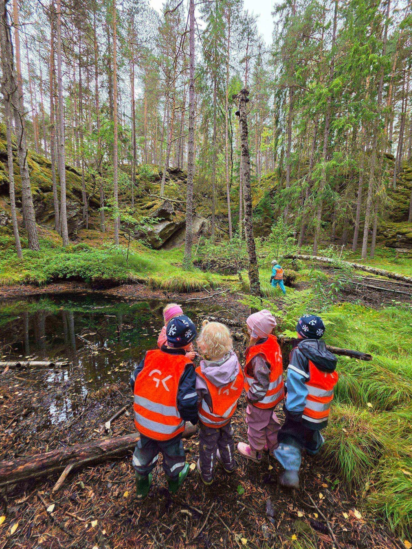 Ungar ved eit tjern i skogen